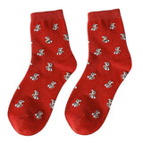 Boxtoday Gift Bear Pattern Socks