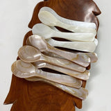 Boxtoday Gift Natural Shell Spoon