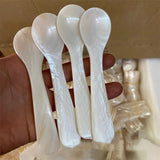 Boxtoday Gift Natural Shell Spoon