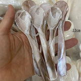 Boxtoday Gift Natural Shell Spoon