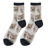 Boxtoday Gift Official Catitude Ankle Socks