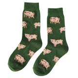 Boxtoday Gift Pig Socks