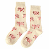 Boxtoday Gift Pig Socks