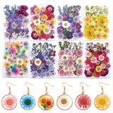 Boxtoday Dried Flowers Real Natural Plant Pressed Flower For Epoxy Resin Filling DIY Blank Pendant Tray Bezel Charms Jewelry Making Craft