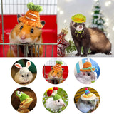 Boxtoday Mini Hamster Hat Small Animals Lovely Knitted Wool Hats for Lizard Guinea Pig Reptile Christmas Clothes Costume Pet  Accessory