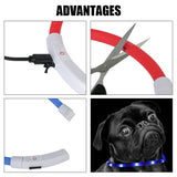 Boxtoday Night Luminous Charge Collar Pet Accessories Night Safety Flashing Glow  Collar Dog Loss Prevention Led Usb Dog Collar