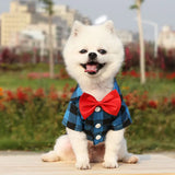 Boxtoday Pet Clothes Dogs Plaid Striped Shirt Suit Wedding Dress Puppy Coat Teddy Bear Pomeranian Vest Small-Medium Dog Cat Pet Costume