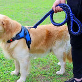 Boxtoday Nylon Dog Harness Leash For Medium Large Dogs Leads Pet Training Running Walking Safety Mountain Climb Dog Leashes Ropes supply