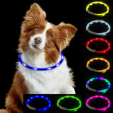 Boxtoday Night Luminous Charge Collar Pet Accessories Night Safety Flashing Glow  Collar Dog Loss Prevention Led Usb Dog Collar