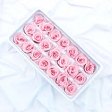 Boxtoday 21pcs Grade B 2-3CM Natural Preserved  Mini Roses  Heads,  Beauty and the Beast,Forever Rose for Wedding,Party,DIY Gift