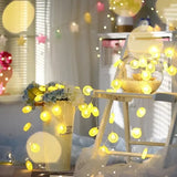 Boxtoday 2m Lemon Orange Light String Fairy Light Christmas Wreath Room Decoration Fancy Wedding Party Decor