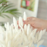 Boxtoday 60pcs Dried Flowers Rabbit Bunny Tails Grass Mix Bouquets Wedding Party Decoration Natural Fluffy Lagurus Ovatus Boho Home Decor