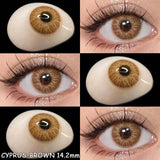 Boxtoday 2pcs New Colored Contacts Lenses Natural Blue Lense Brown Eye Contacts Lenses Yearly Use Fashion Lenses Beauty Pupils