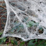 Boxtoday 1pc Halloween Elastic Spider Web with Spider Horror Haunted House Yard Scene Arrangement Halloween Faux Decorative Props 2024