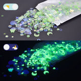 Boxtoday 10g Luminous Sequins DIY Epoxy Resin Filling Mixed With Shell Concave Plum Snowflake Circular Beads Jewelry Resin Crafts Making