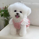 Boxtoday Small Dog winter clothes Princess Dress Pet Bowknot Skirt Autumn Winter Sweet Sweater Cat Fashion Warm Coat Puppy Yorkshire