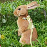 Boxtoday Newest Cute Rabbit Harness and Leash Set Bunny Pet Accessories Vest Harnesses Rabbit Leashes for Outdoor Walking Pets Supplies