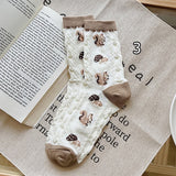 Boxtoday Gift Squirrel Socks