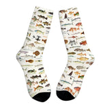 Boxtoday Gift Fish Print Socks