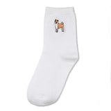 Boxtoday Gift Pup Socks