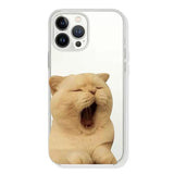 Boxtoday Gift Really Sleepy Cat iPhone Case